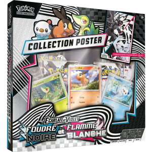 Coffret Poster EV10.5 Foudre Noire et Flamme Blanche français